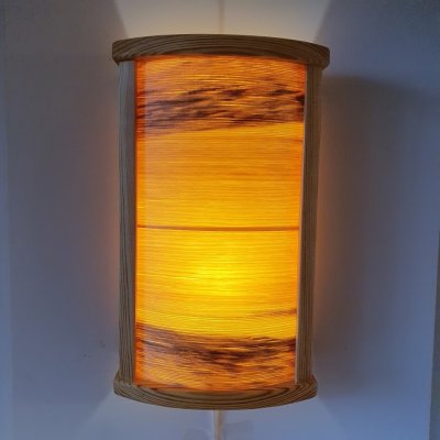 Ljuspelare spån liten natur